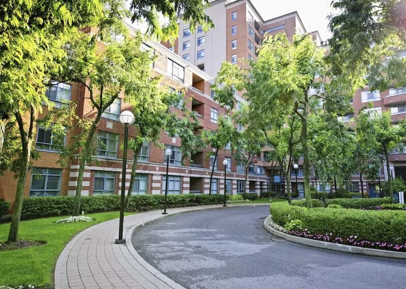 trees and front entry way for an HOA in Arizona